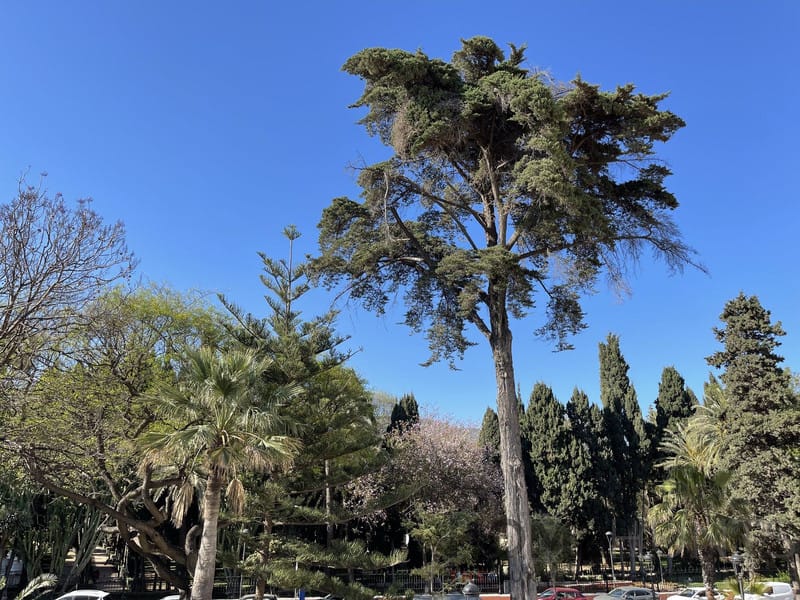 property_HH-15644192-20