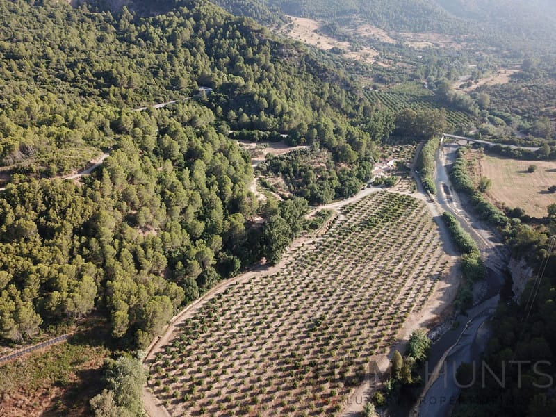 property_HH-15865056-3