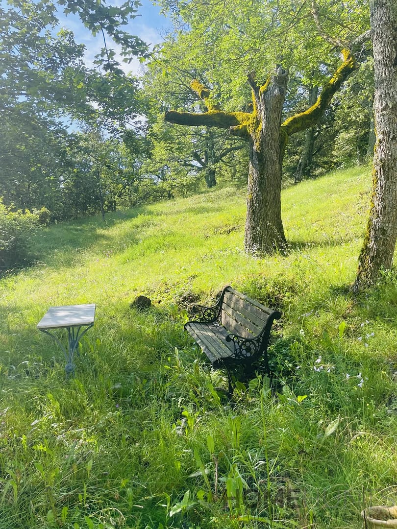 property_HH-15084760-9