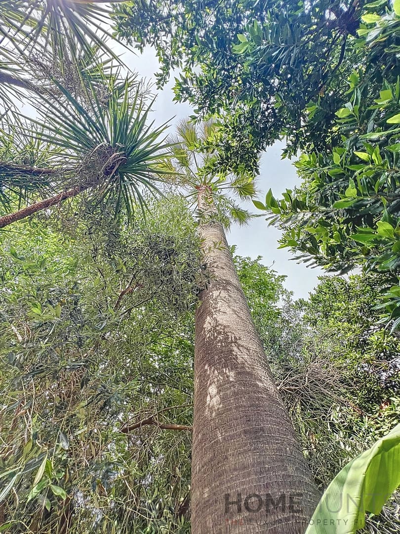 property_HH-15406627-9