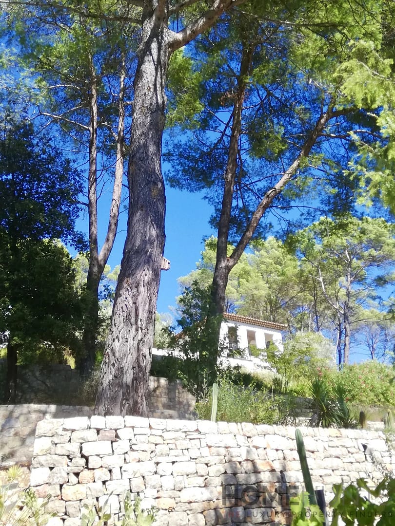 property_HH-15805607-25