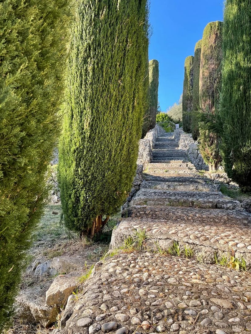 property_HH-15943843-26