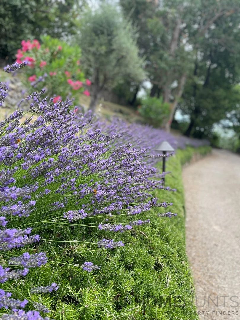 property_HH-15943843-30