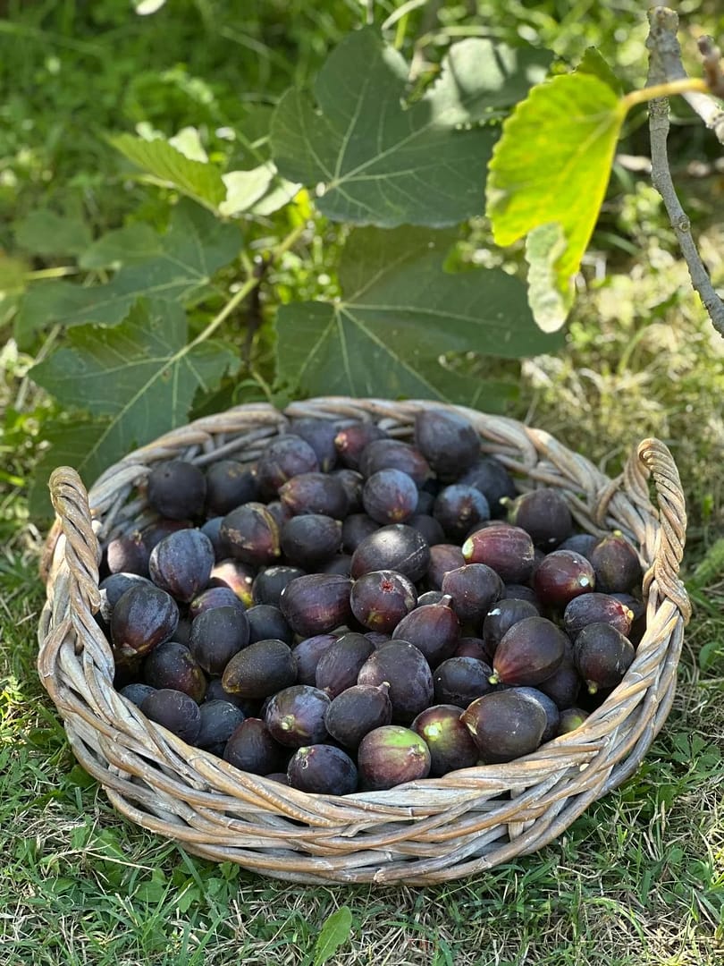 property_HH-15950737-12