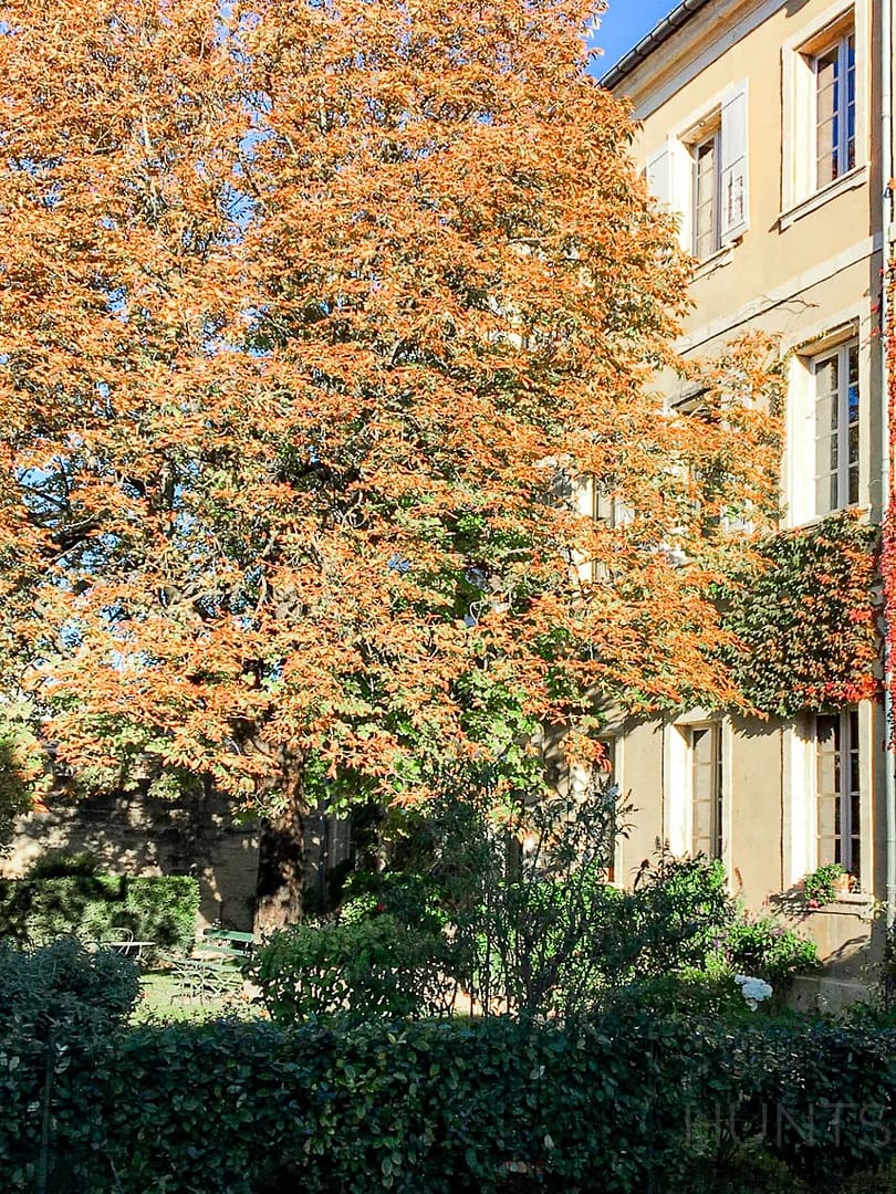 property_HH-16044061-3