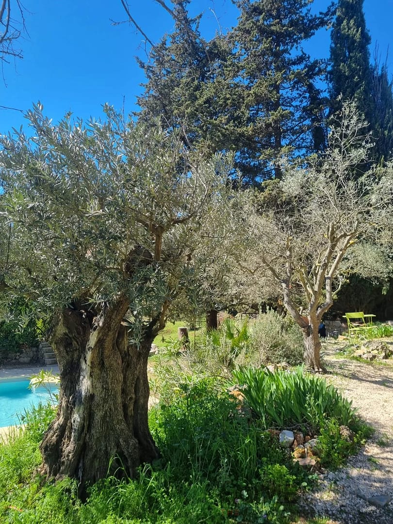 property_HH-15735564-7