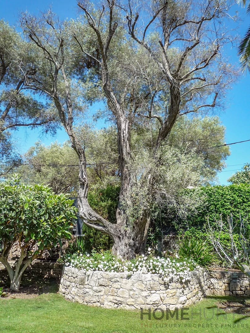 property_HH-16145495-10