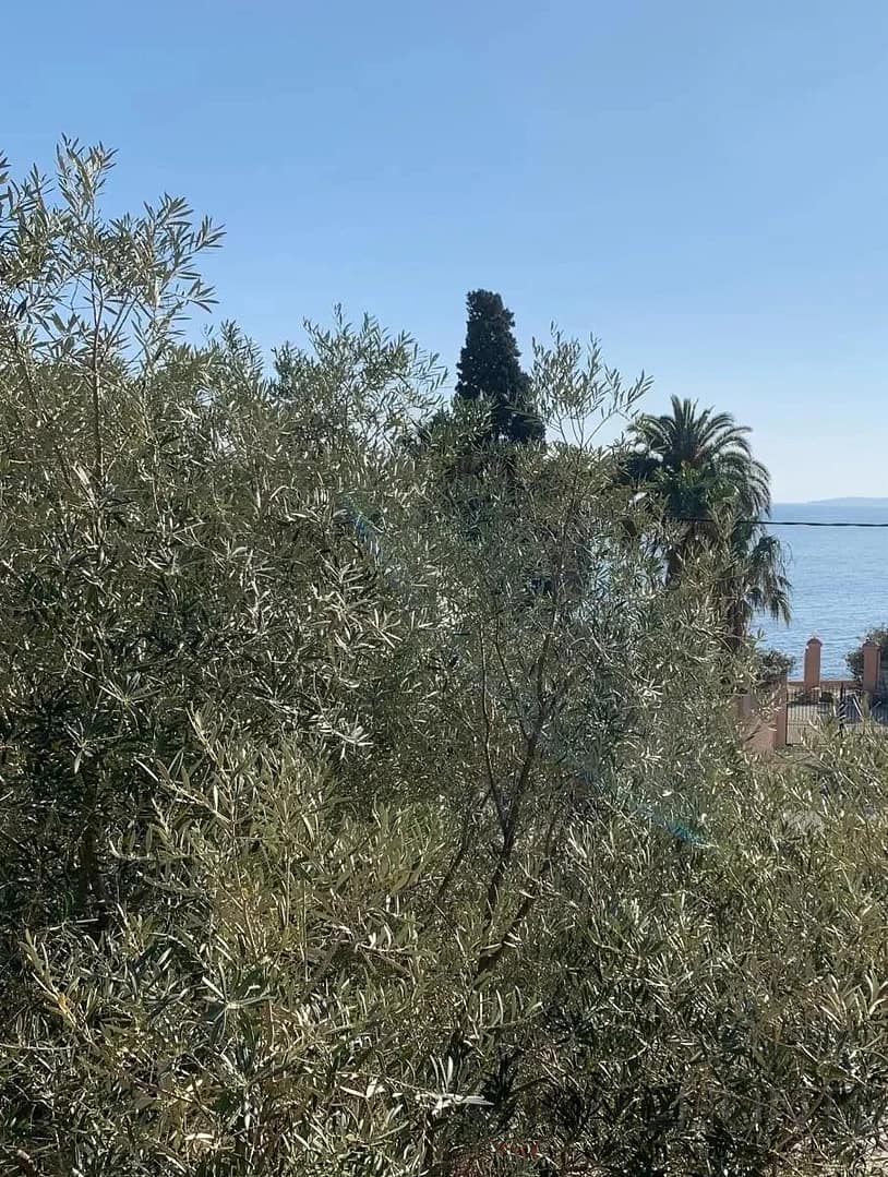 property_HH-15290671-3