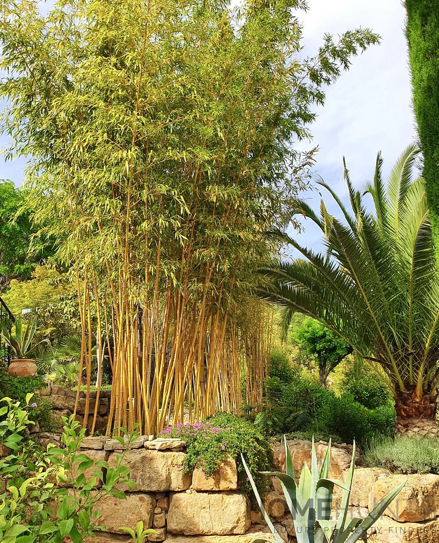 property_HH-14536567-23