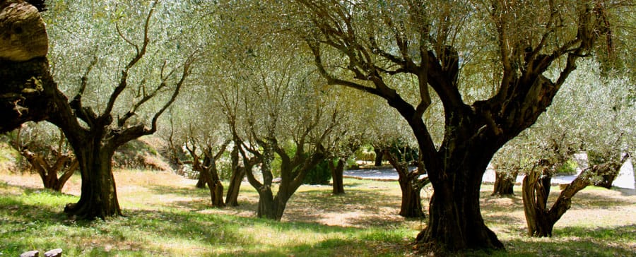 9 Things to Do in Provence This Winter 3 9 Things to Do in Provence This Winter 3