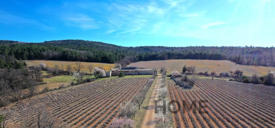 property_HH-15432888-2