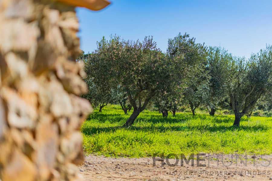 property_HH-15669455-28