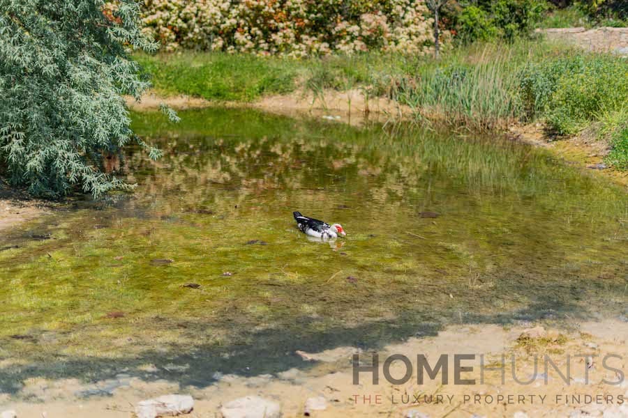 property_HH-15669434-23