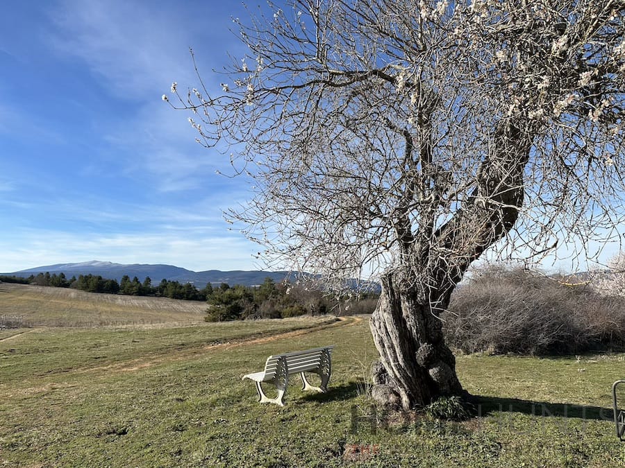 property_HH-15432888-6