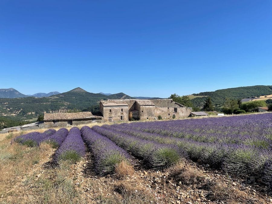 property_HH-15722718