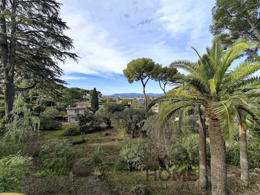 property_HH-15622496-13