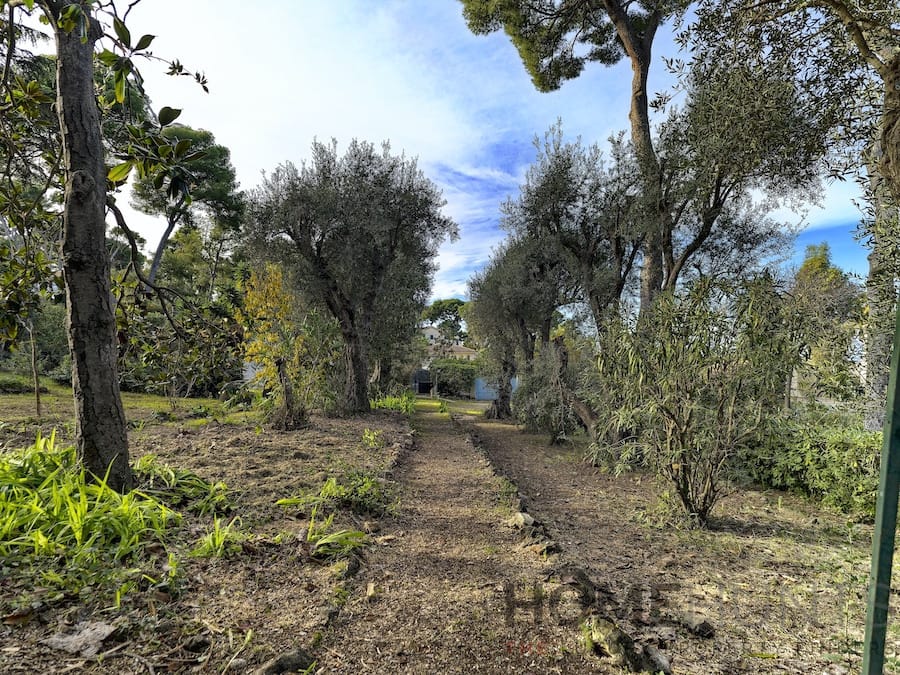 property_HH-15622496-24