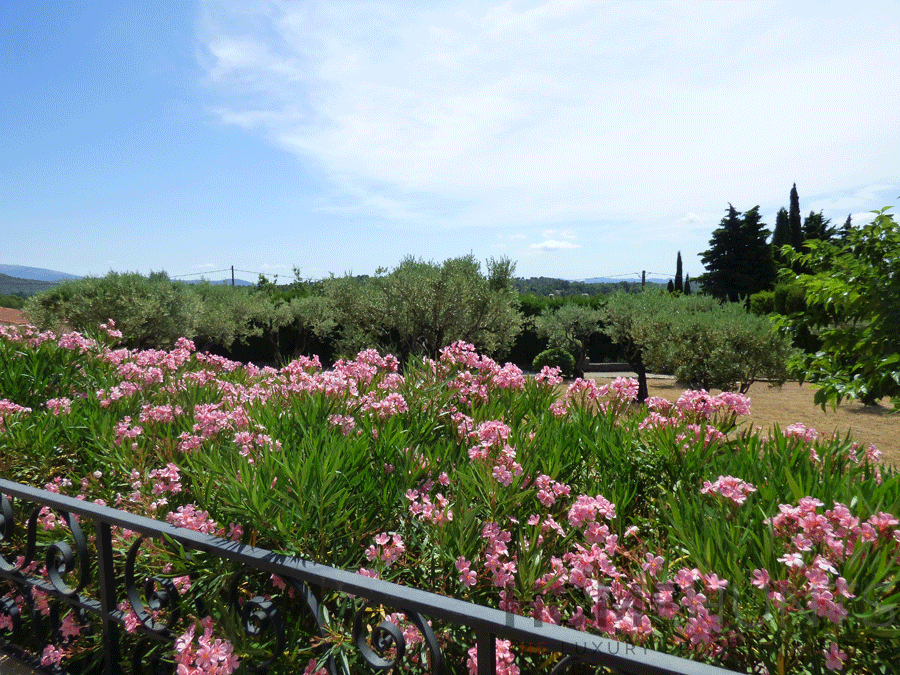 property_HH-15861345-9