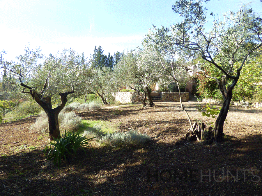 property_HH-15987241-10