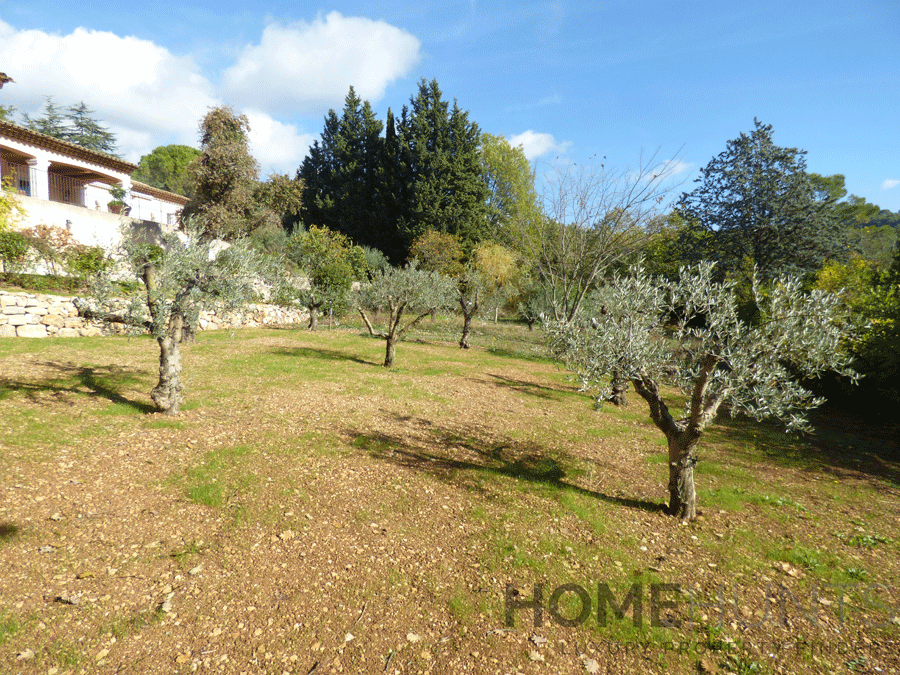 property_HH-15987241-17