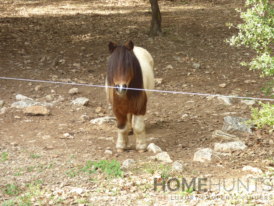 property_HH-15987242-17