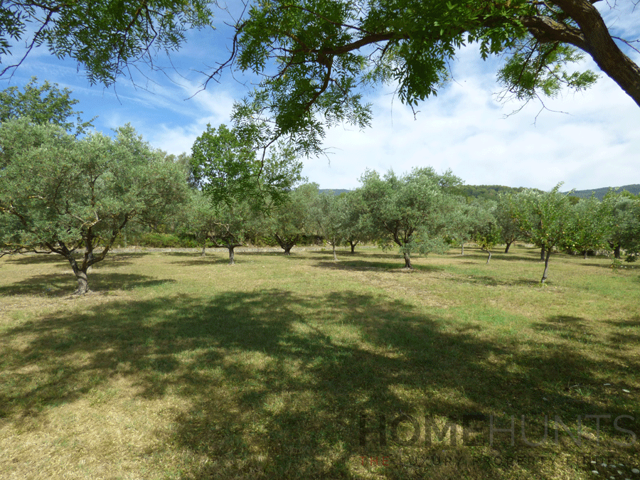 property_HH-16035964-2