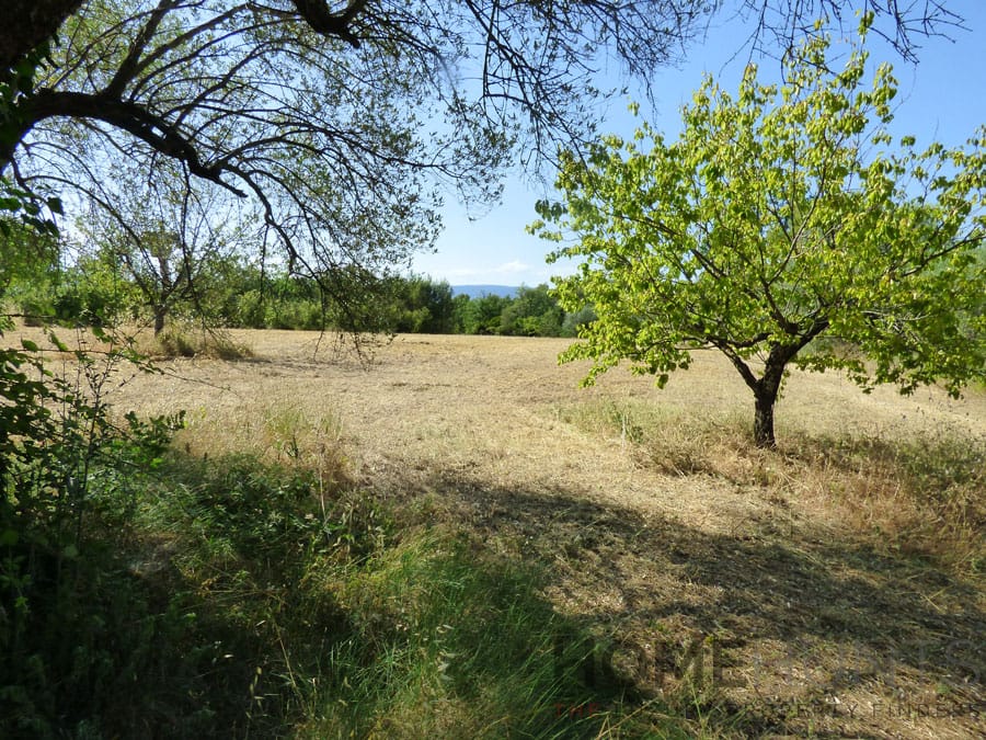 property_HH-16219862-20