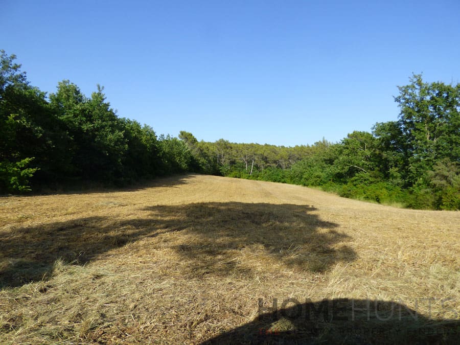 property_HH-16219862-21