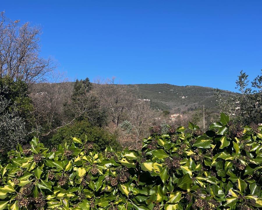 property_HH-16082862-17