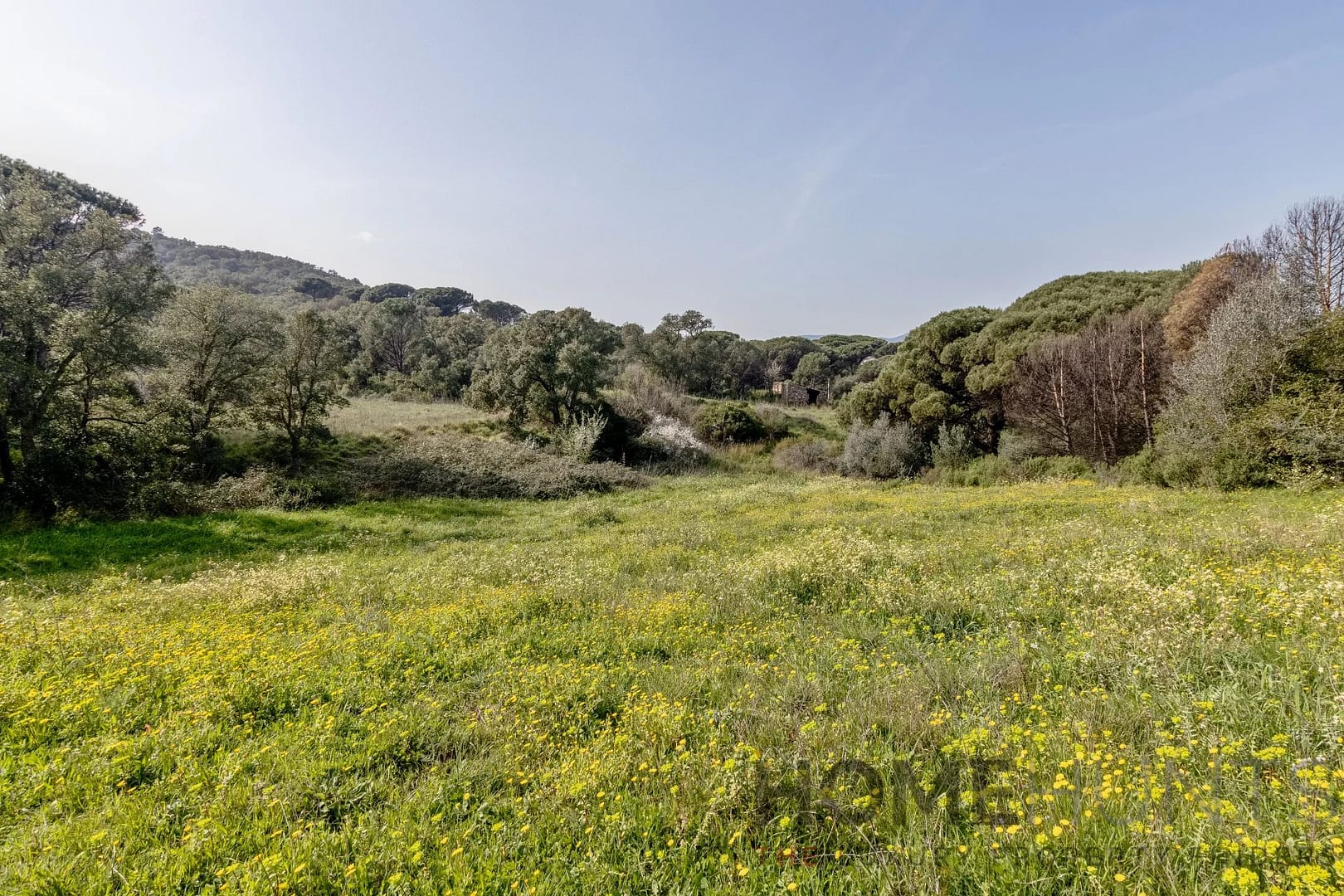 property_HH-16148915-15