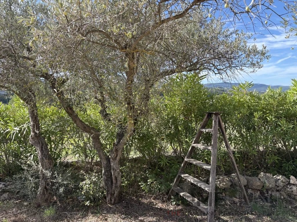 property_HH-16014236-2