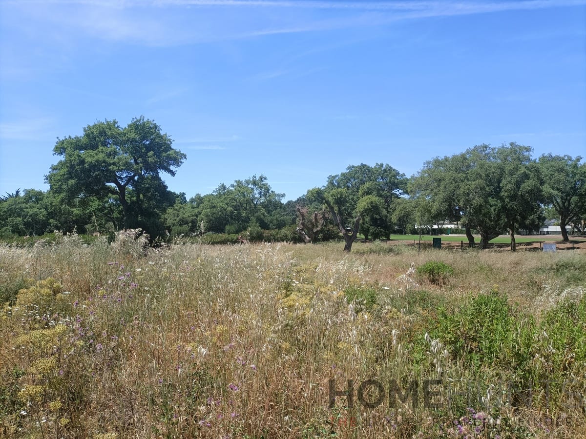 property_HH-15641783-10