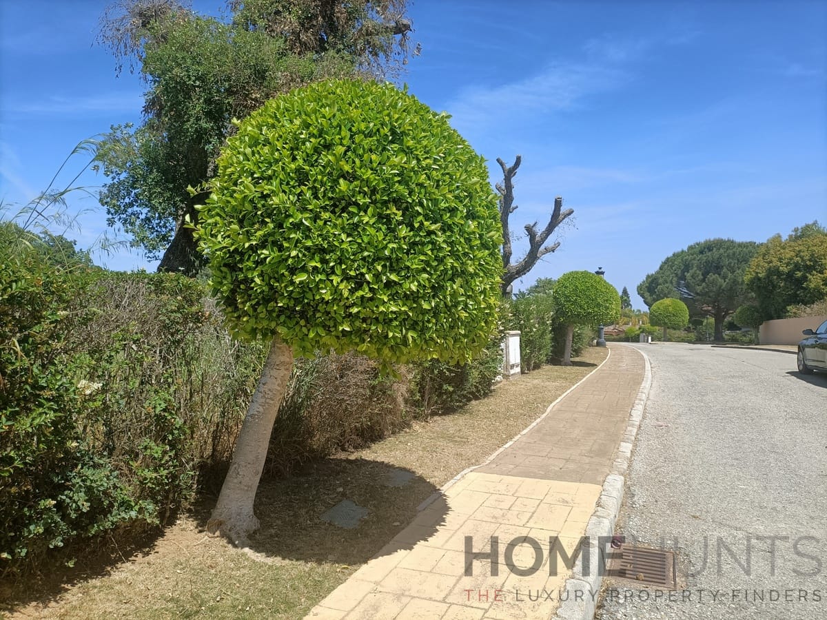 property_HH-15641783-11