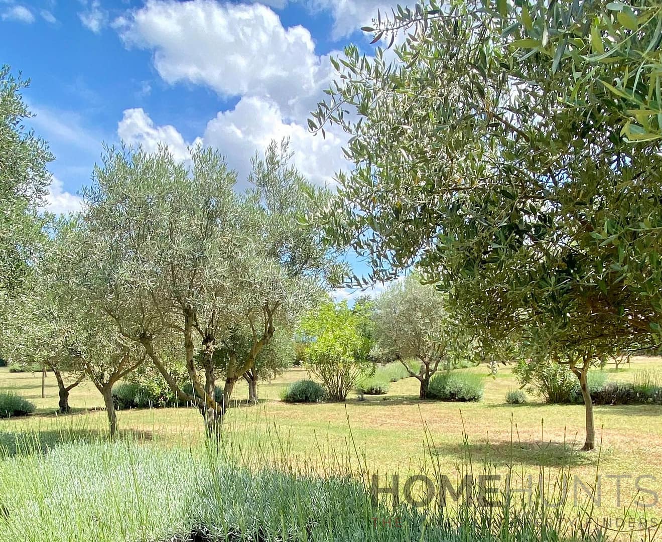 property_HH-16053081-3