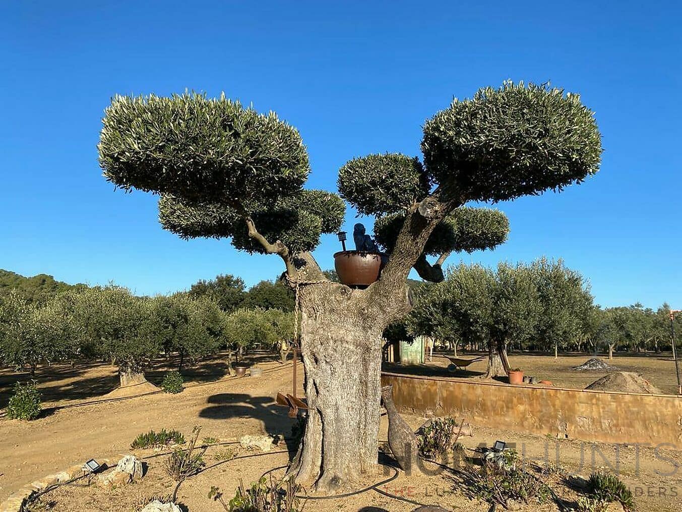 property_HH-15772390-2