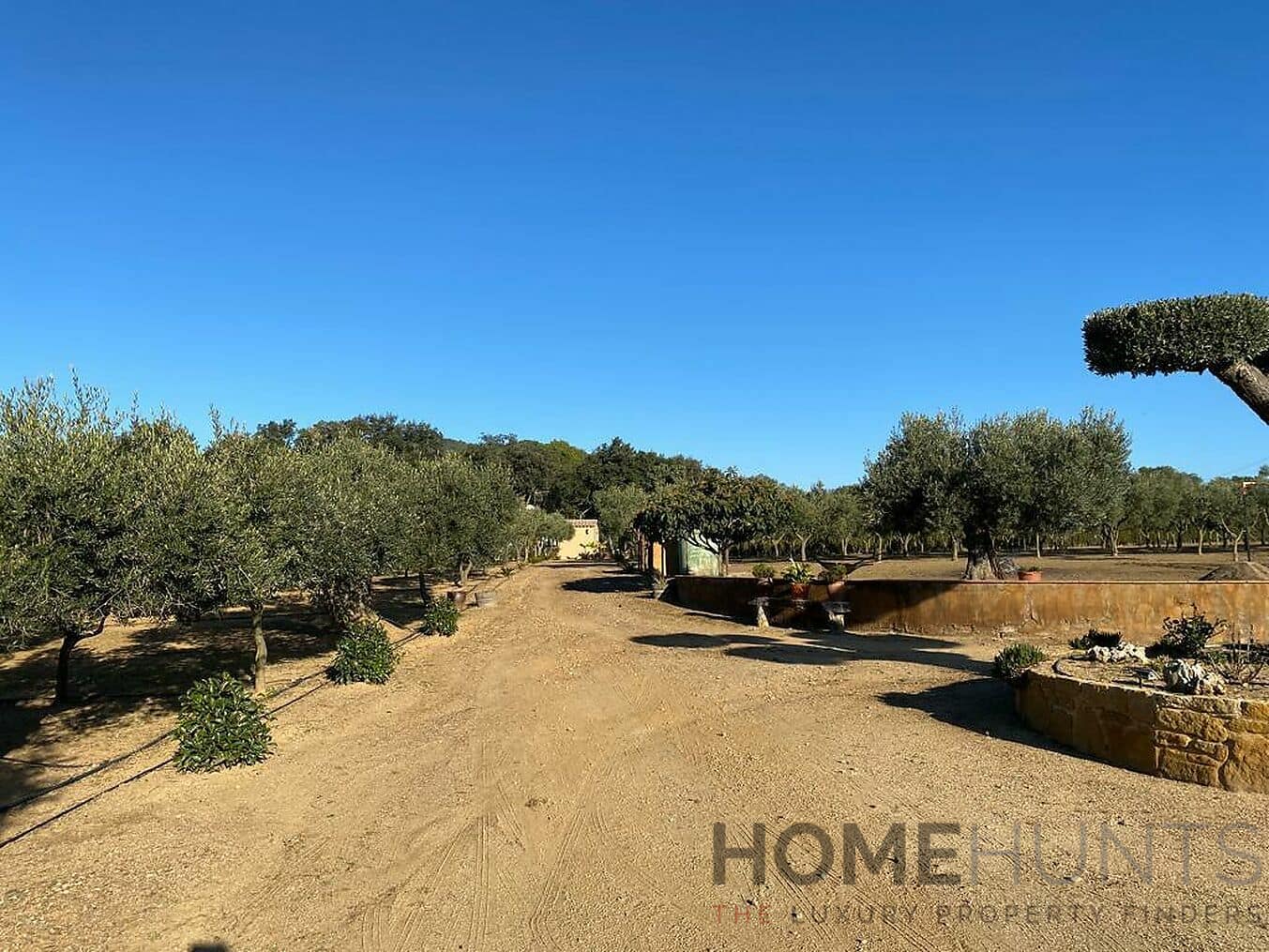 property_HH-15772390