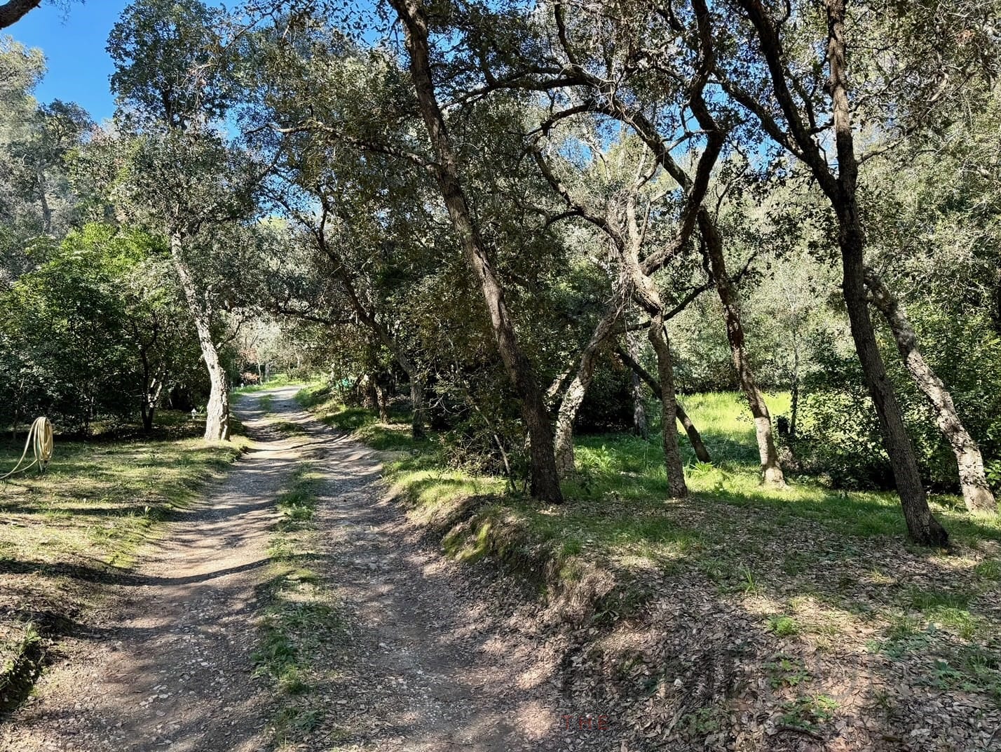 property_HH-15312906-16