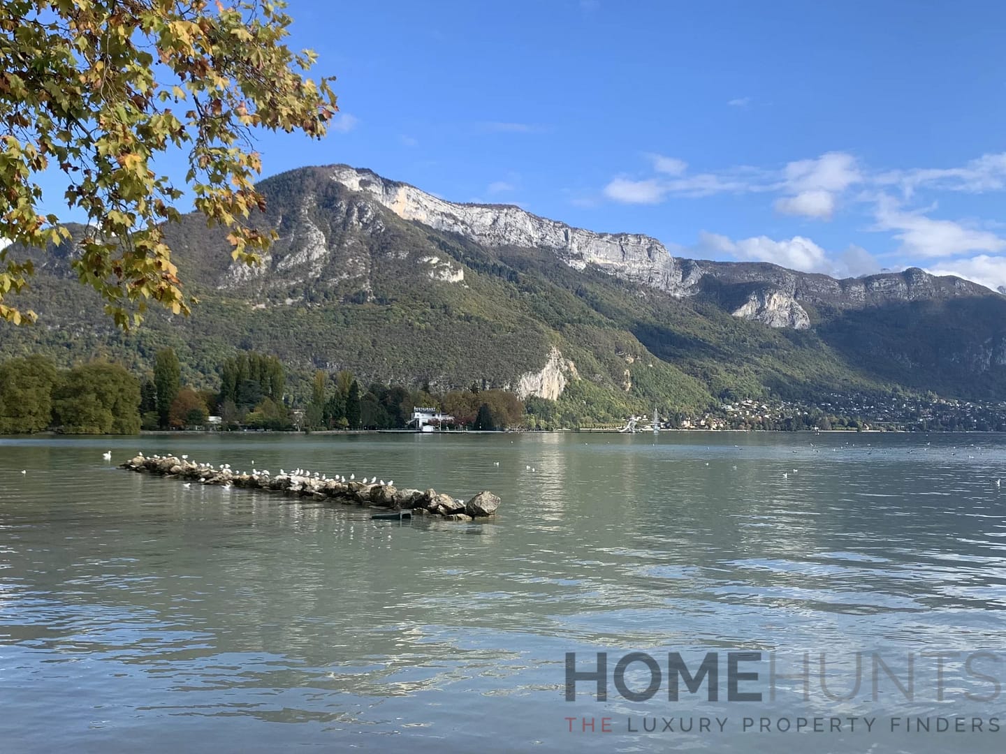 property_HH-15044455-5