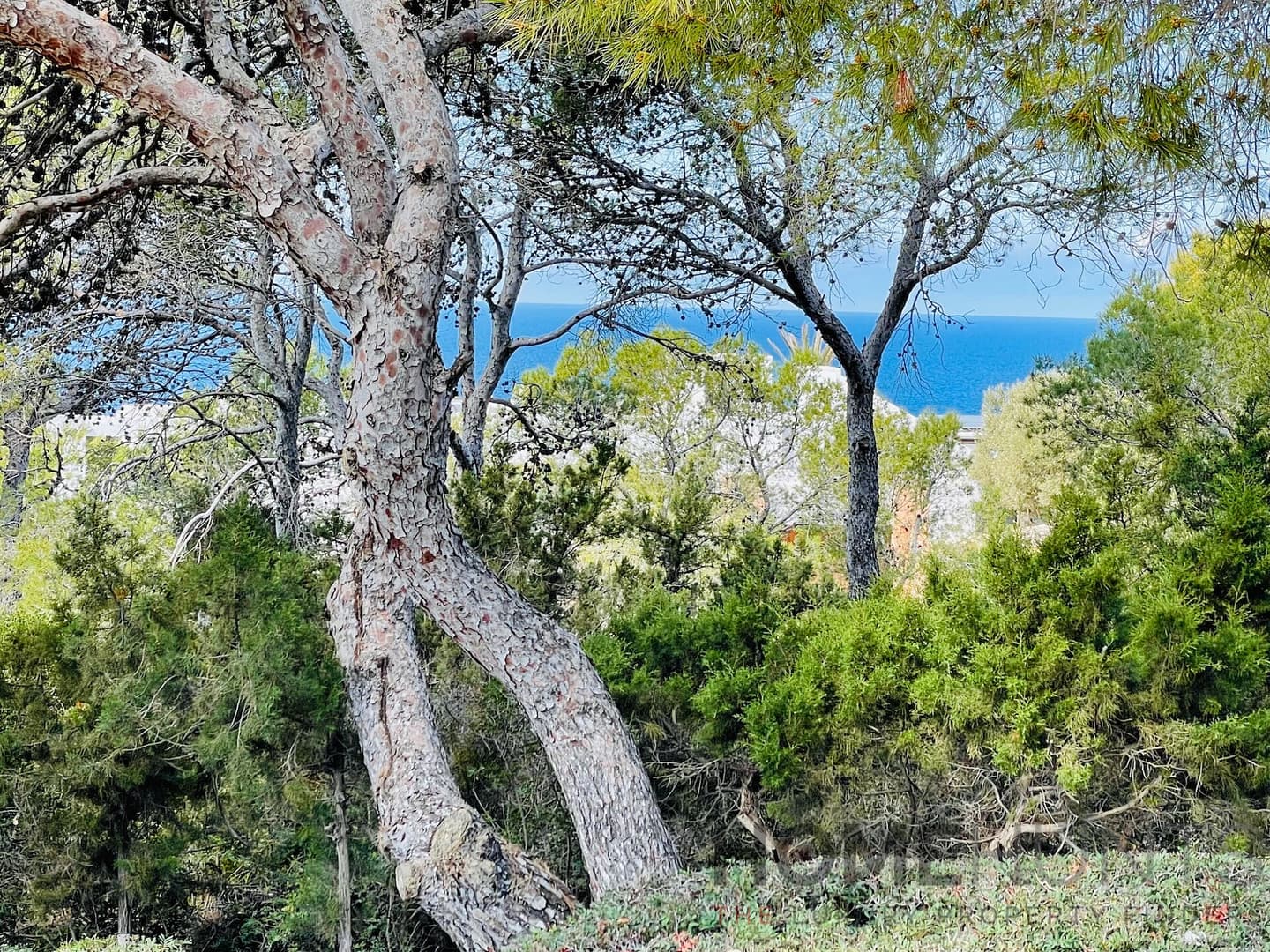 property_HH-15202393-9