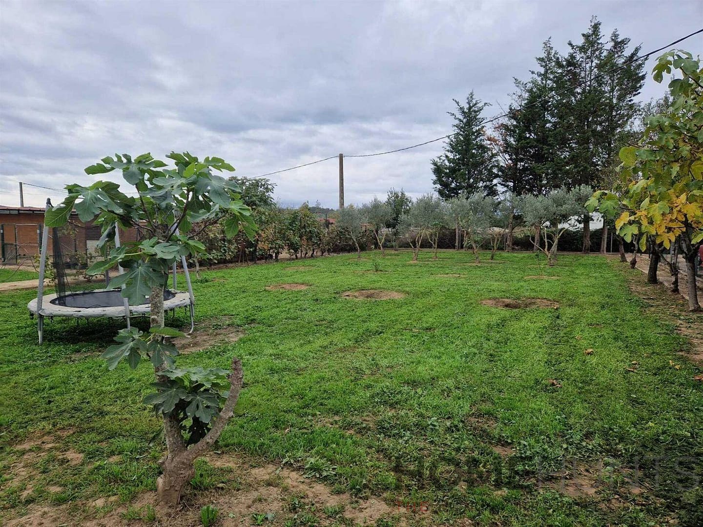 property_HH-15237091-2