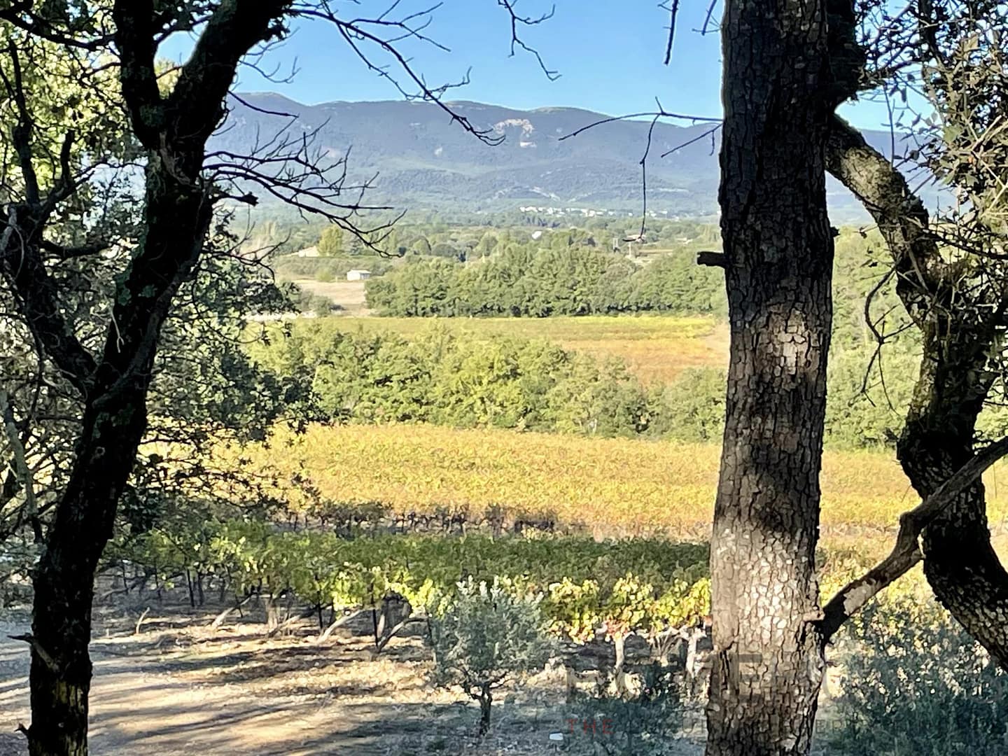 property_HH-15596188-3