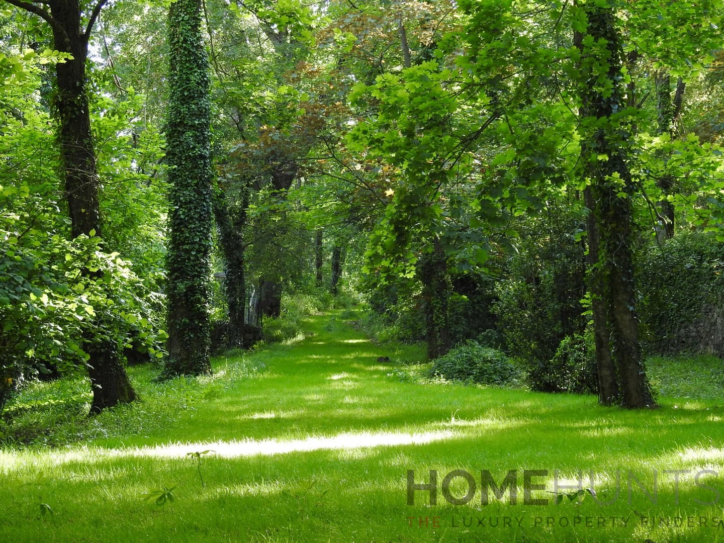 property_HH-15747454-8