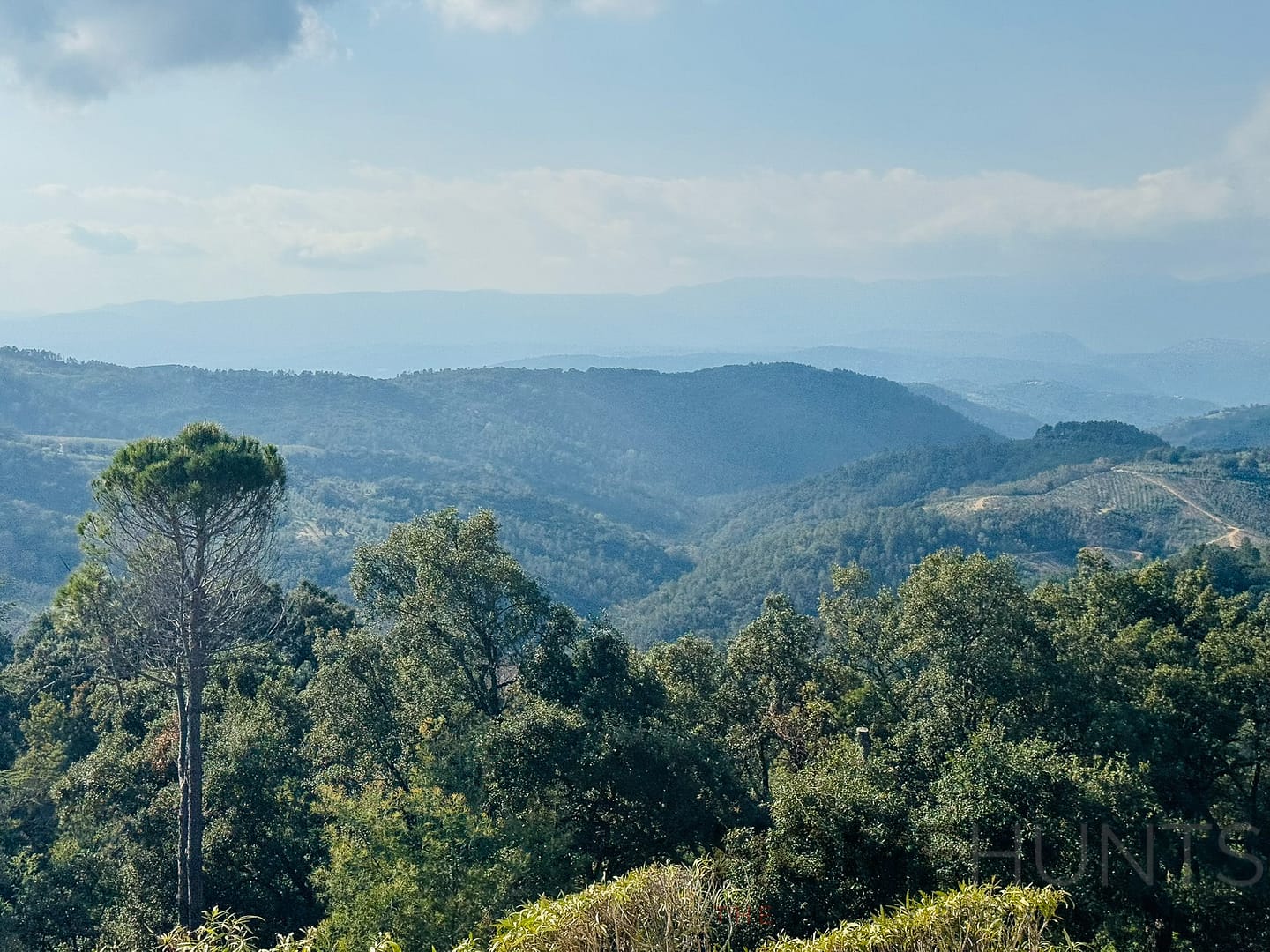 property_HH-15791964-13