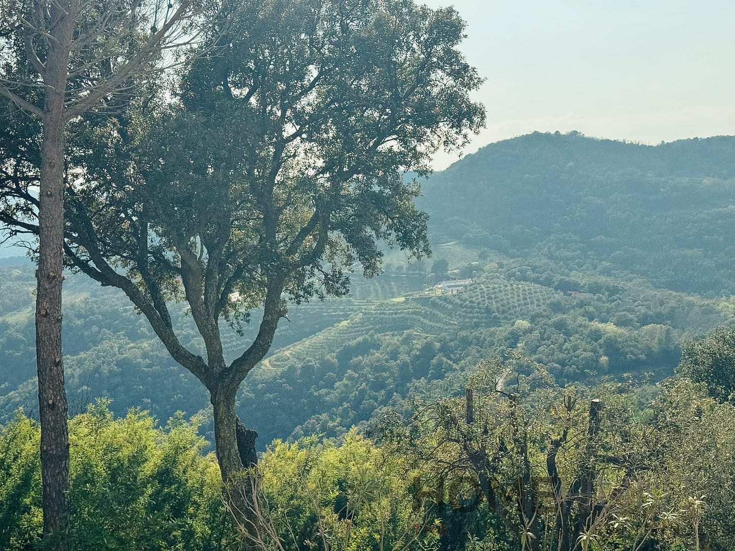 property_HH-15791964-28