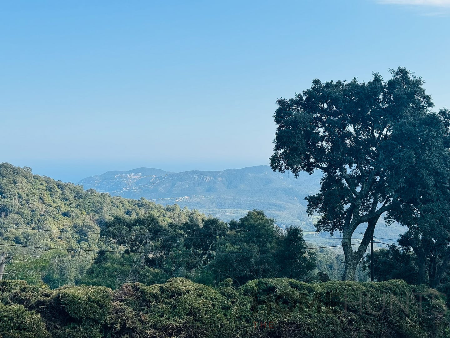 property_HH-15791964-29