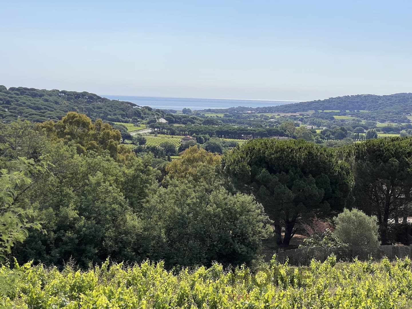 property_HH-15016668