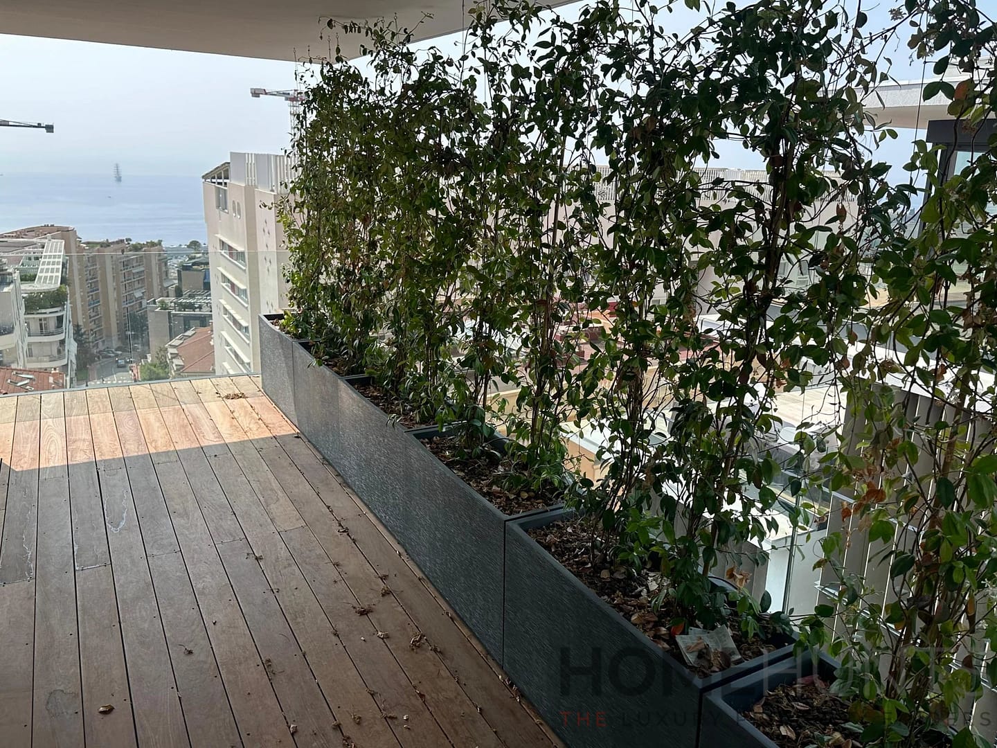 property_HH-15648367-23