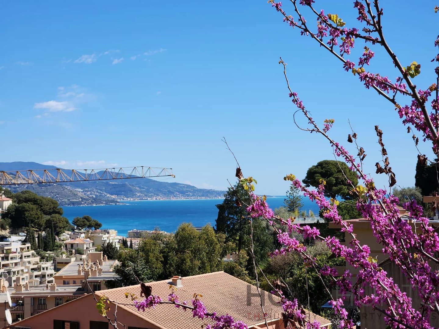 property_HH-15867042