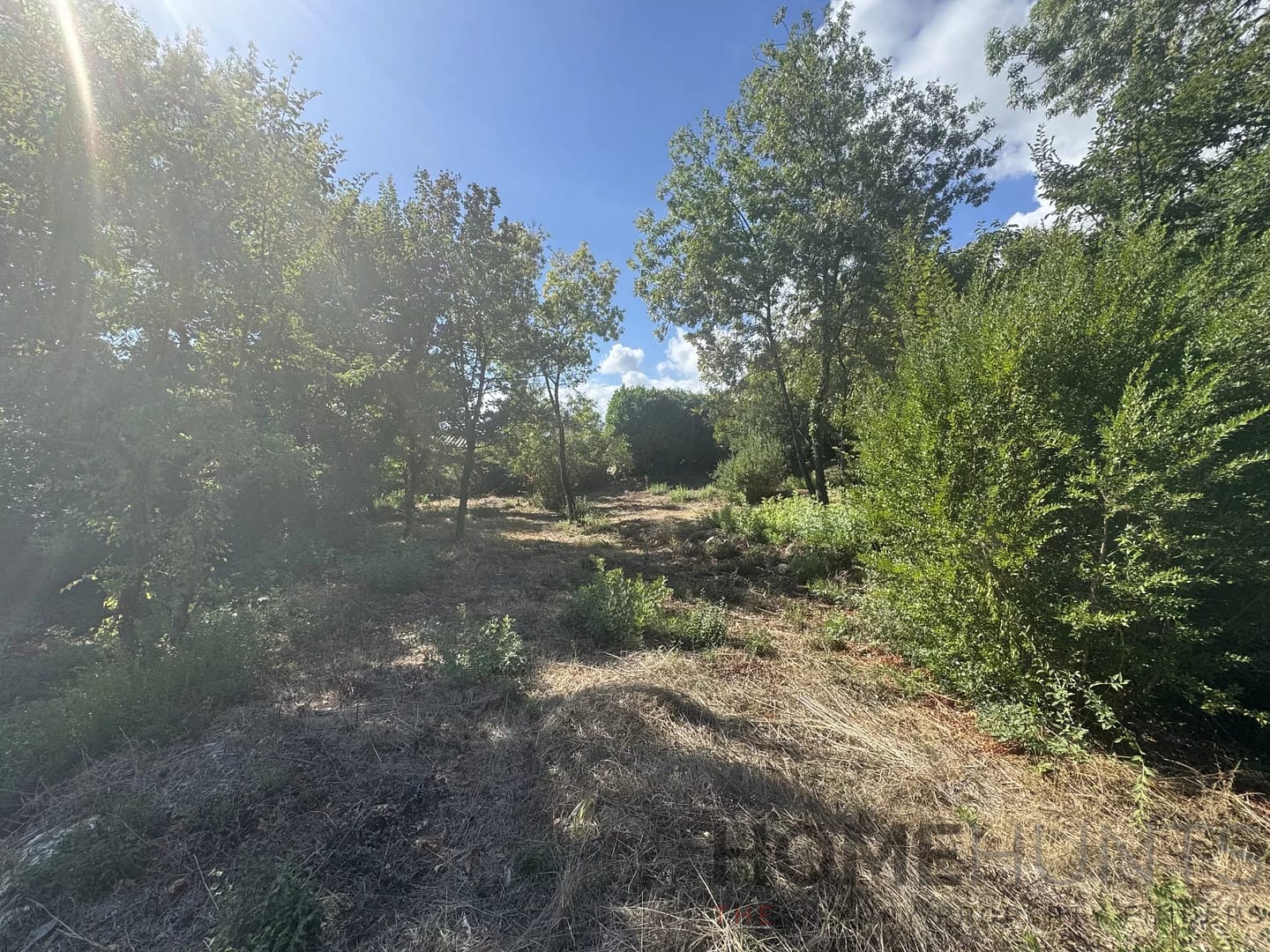 property_HH-15925791-3