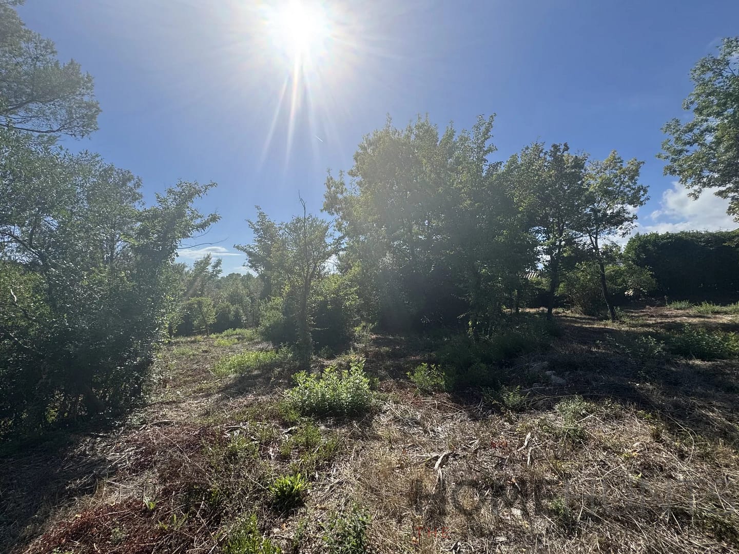 property_HH-15925791-4